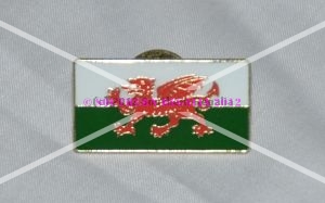 Welsh Flag Rectangular Enamel Lapel Pin - Click Image to Close